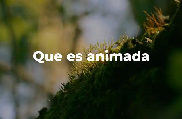 Que es Animada