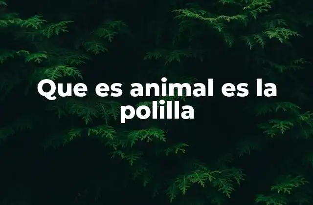 Que es Animal es la Polilla