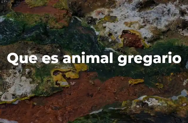Que es Animal Gregario