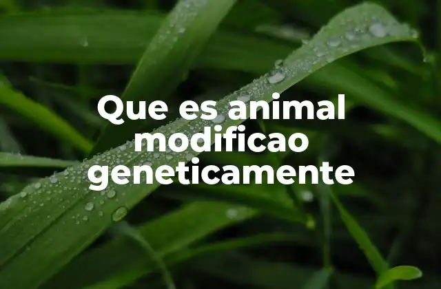 Que es Animal Modificao Geneticamente