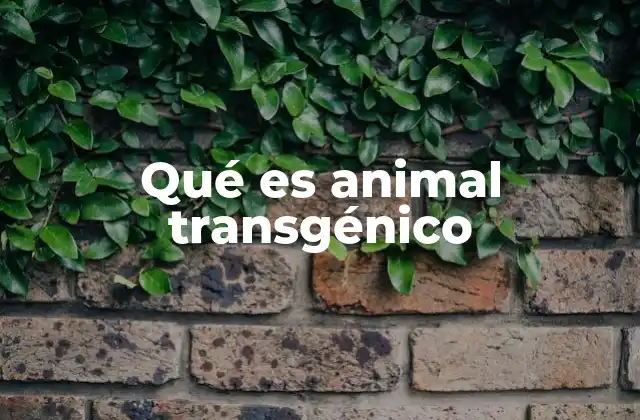 Qué es Animal Transgénico 2 La base científica detrás de los animales transgénicos