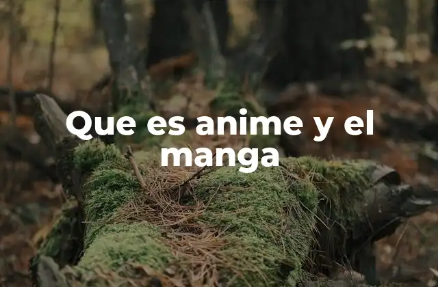 Que es Anime y el Manga