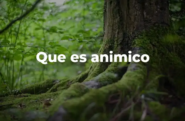 Cómo se usa el término animico en el lenguaje cotidiano