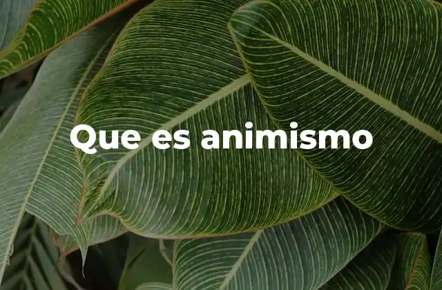 Que es Animismo