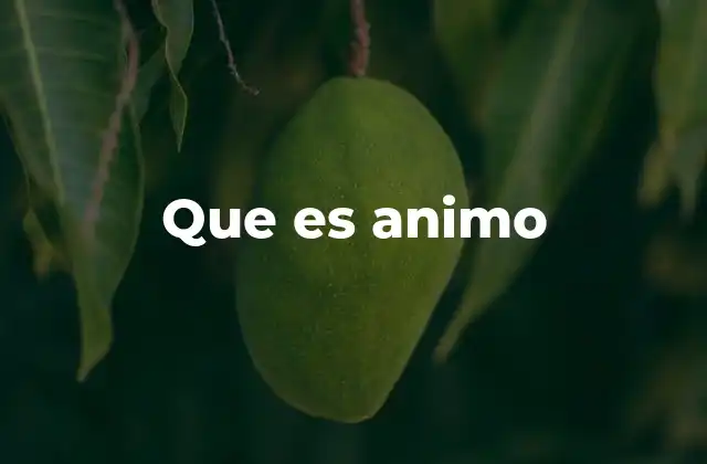 Que es Animo