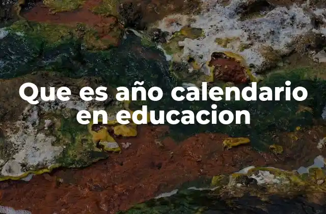 Que es Año Calendario en Educacion