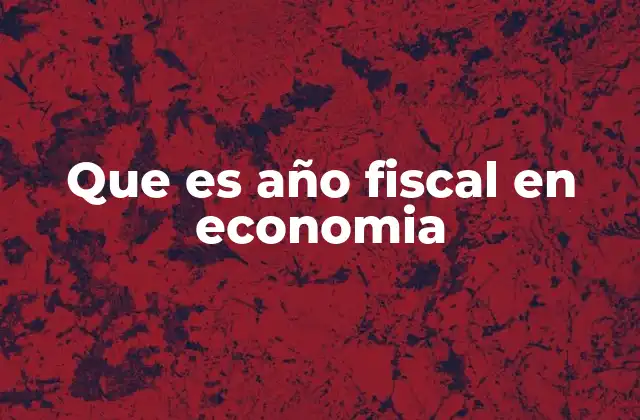 Que es Año Fiscal en Economia