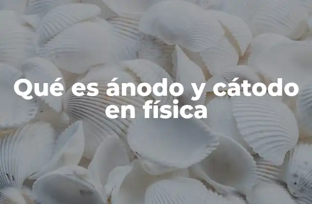 Qué es Ánodo y Cátodo en Física