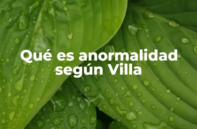 Qué es Anormalidad según Villa