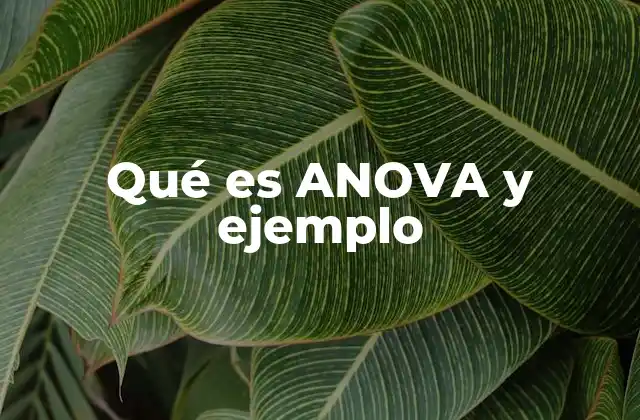 Qué es Anova y Ejemplo
