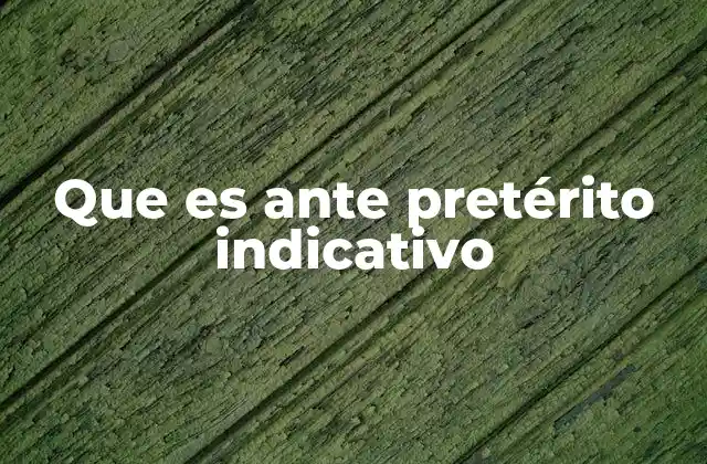 Que es ante Pretérito Indicativo