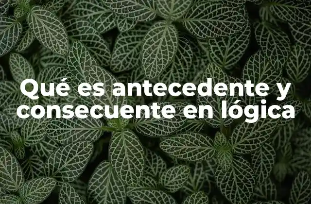 Qué es Antecedente y Consecuente en Lógica 2 La relación lógica entre antecedente y consecuente