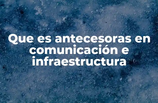 Que es Antecesoras en Comunicación e Infraestructura