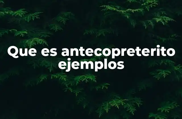 Que es Antecopreterito Ejemplos