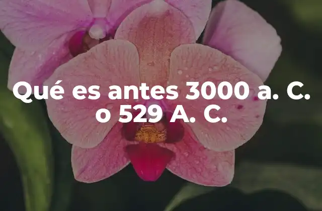 Qué es Antes 3000 A. C. o 529 A. C.