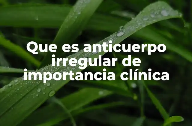 El papel de los anticuerpos en la inmunidad sanguínea