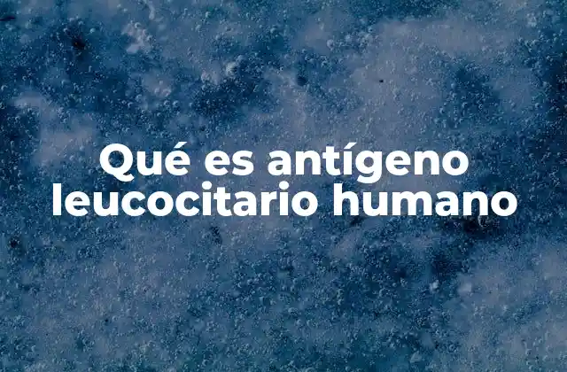 Qué es Antígeno Leucocitario Humano