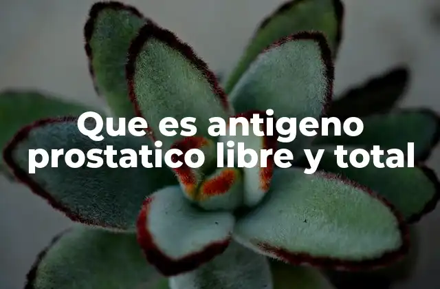 Que es Antigeno Prostatico Libre y Total