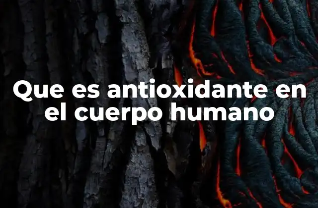 Que es Antioxidante en el Cuerpo Humano