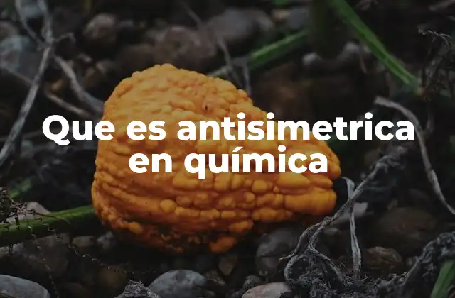 La importancia de la antisimetría en la física cuántica