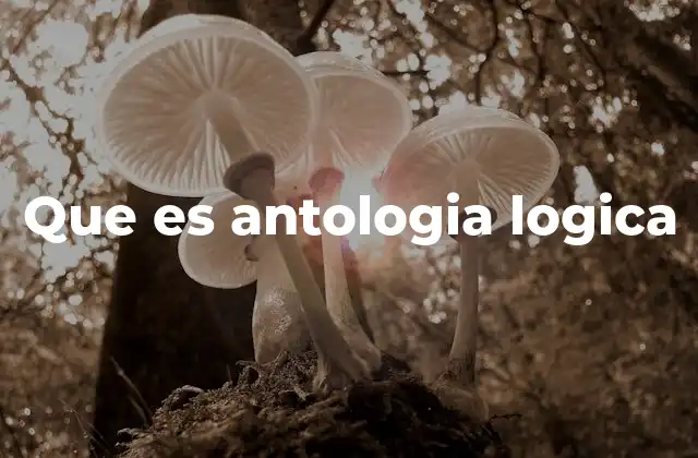 Que es Antologia Logica