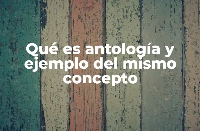 Qué es Antología y Ejemplo Del Mismo Concepto