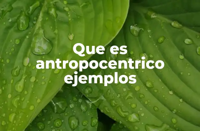 Que es Antropocentrico Ejemplos