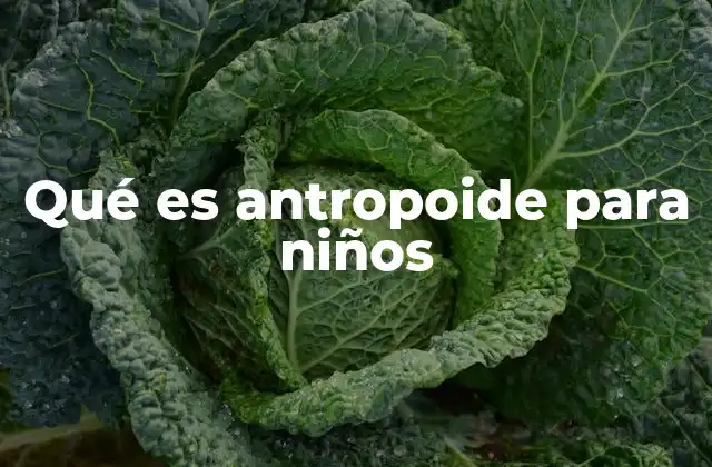 Qué es Antropoide para Niños