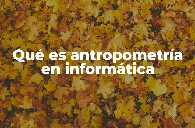 La importancia de la antropometría en el diseño de interfaces