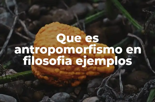 Que es Antropomorfismo en Filosofia Ejemplos 2 El antropomorfismo como fenómeno de proyección humana