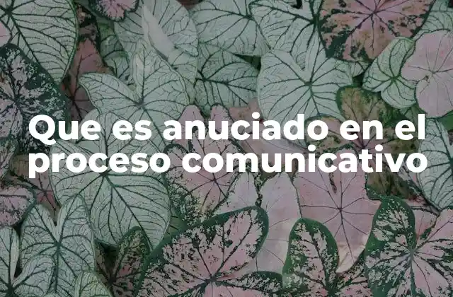 La importancia del contenido en la comunicación