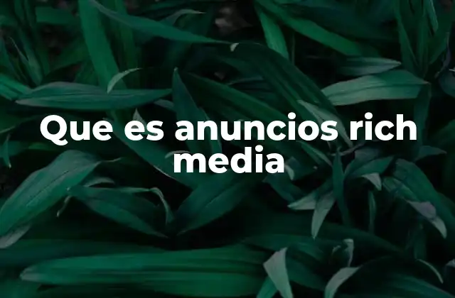 Que es Anuncios Rich Media