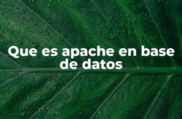 Que es Apache en Base de Datos