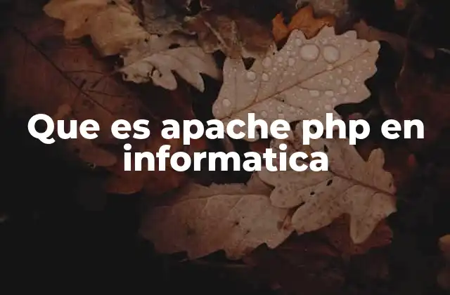 Que es Apache Php en Informatica