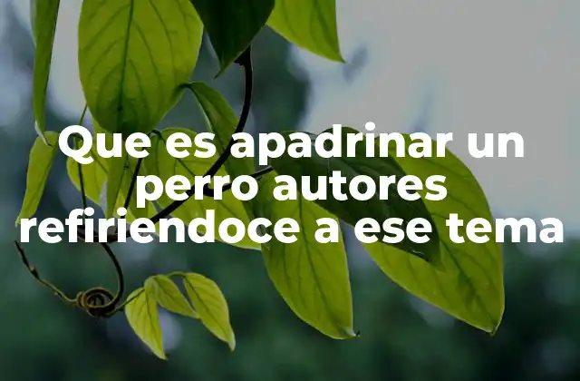 Que es Apadrinar un Perro Autores Refiriendoce a Ese Tema