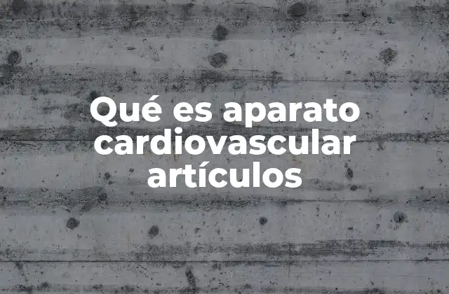 Qué es Aparato Cardiovascular Artículos 2 El sistema encargado del transporte sanguíneo