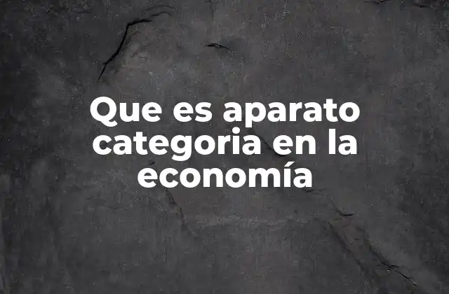 Que es Aparato Categoria en la Economía