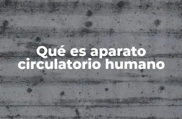 Qué es Aparato Circulatorio Humano