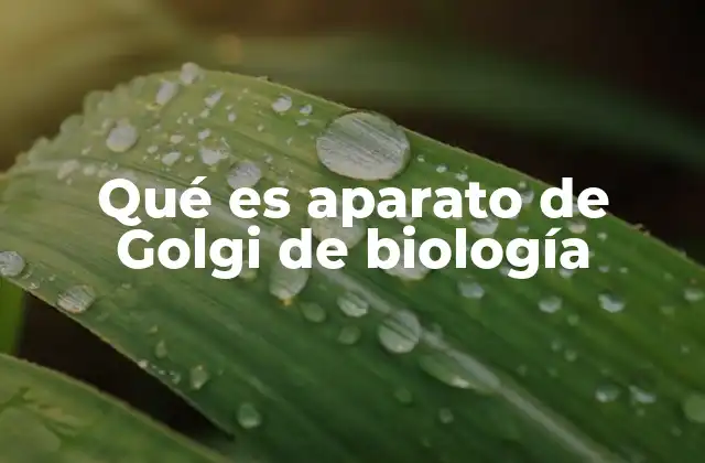 El complejo de Golgi y su papel en la célula