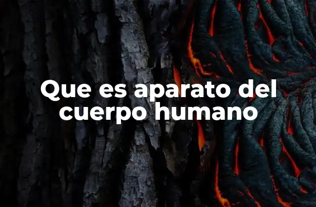 Que es Aparato Del Cuerpo Humano