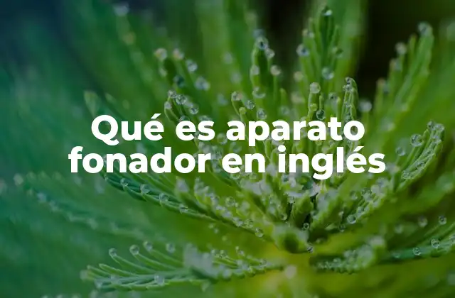 Qué es Aparato Fonador en Inglés