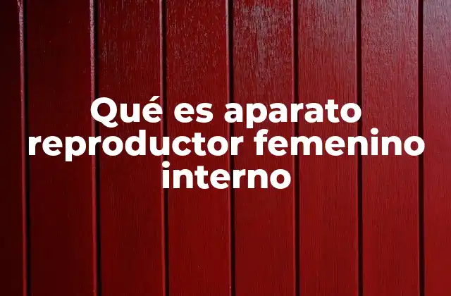Qué es Aparato Reproductor Femenino Interno