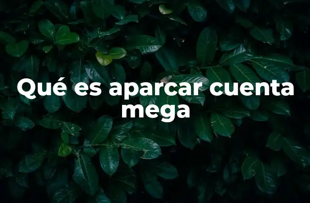 Qué es Aparcar Cuenta Mega