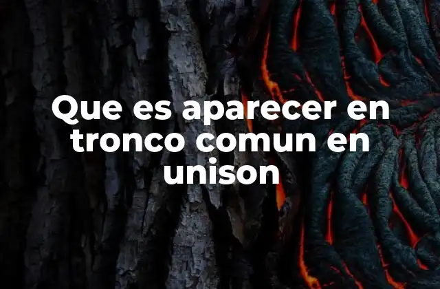 La importancia del tronco común en la producción audiovisual