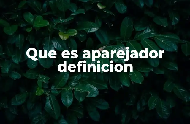 Que es Aparejador Definicion