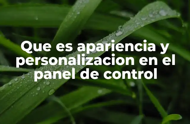 Que es Apariencia y Personalizacion en el Panel de Control 2 Cómo la personalización mejora la experiencia del usuario