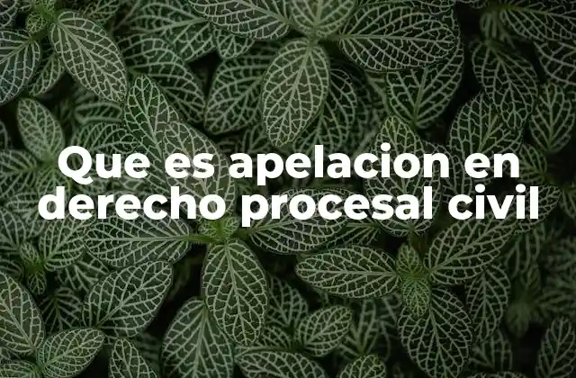 Que es Apelacion en Derecho Procesal Civil