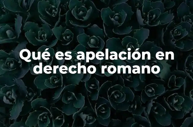 Qué es Apelación en Derecho Romano