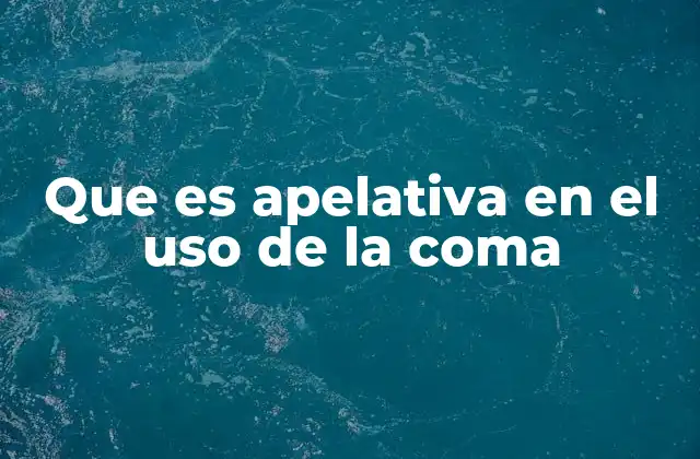 Que es Apelativa en el Uso de la Coma