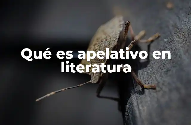 Qué es Apelativo en Literatura